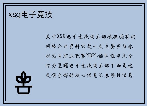 xsg电子竞技